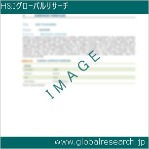 グローバルリサーチ調査レポートのイメージ